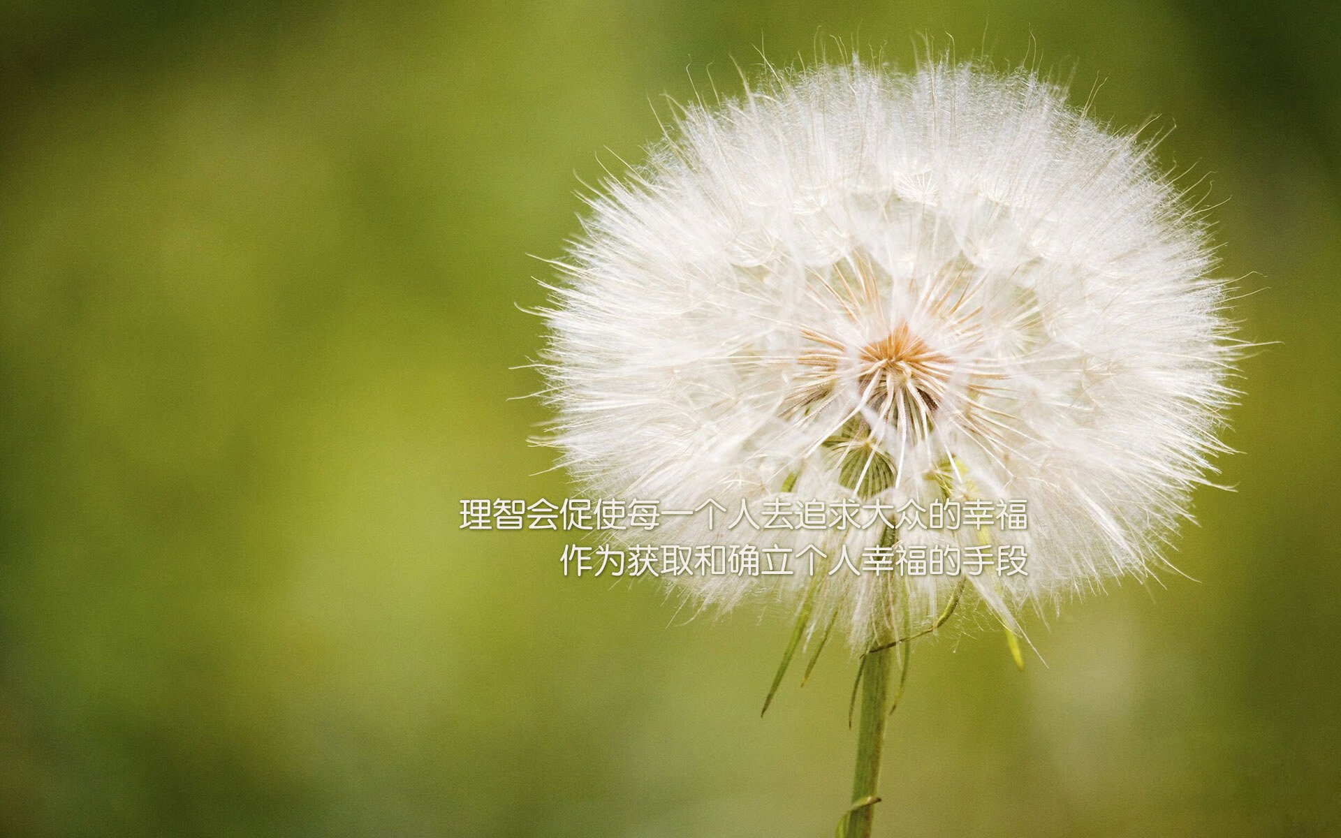 爱游戏体育APP下载-经典回忆：历届冠军的荣耀时刻，荣耀历史冠军