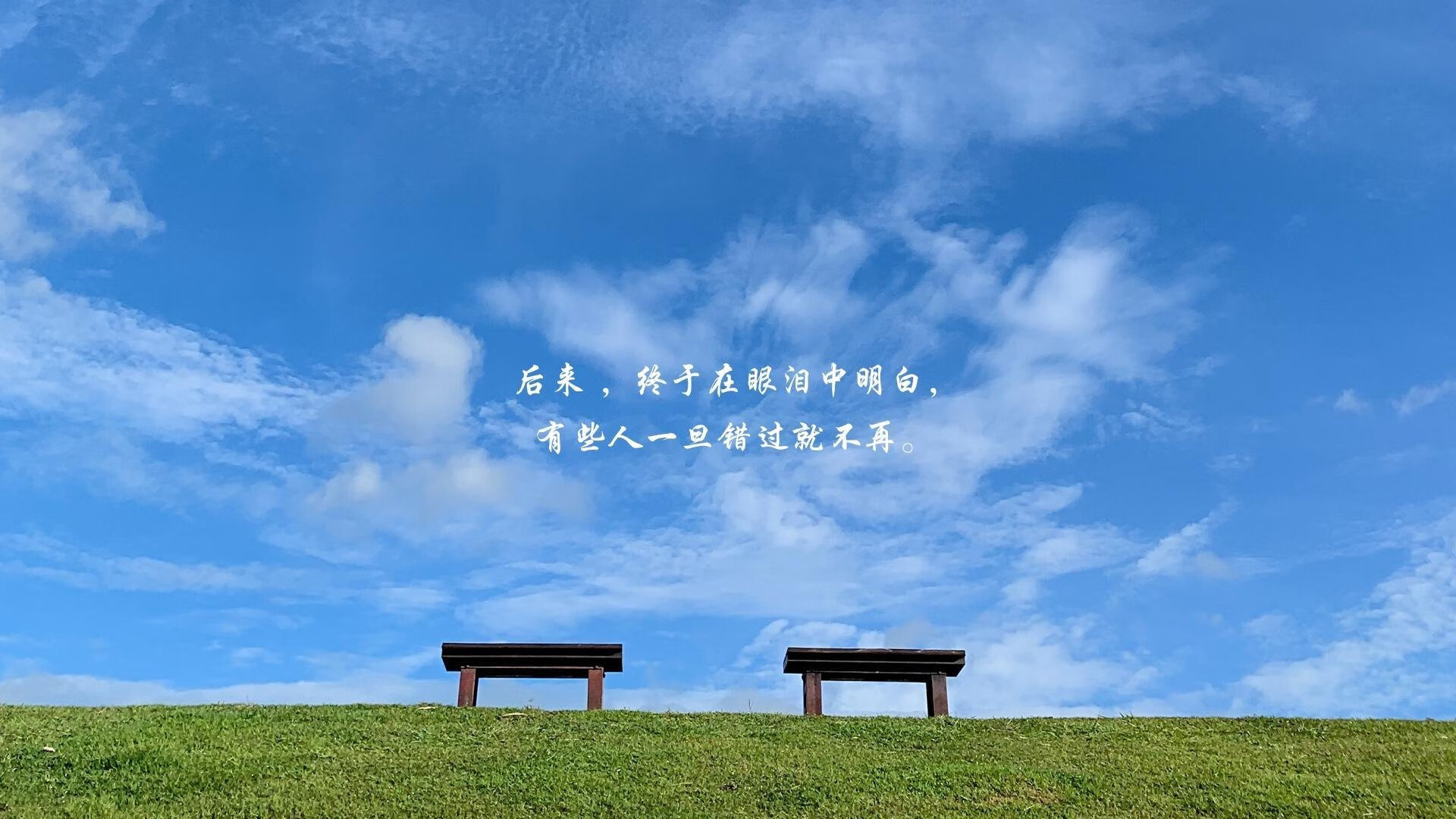 上海海港锋线搭档表现亮眼，上海海港新阵容
