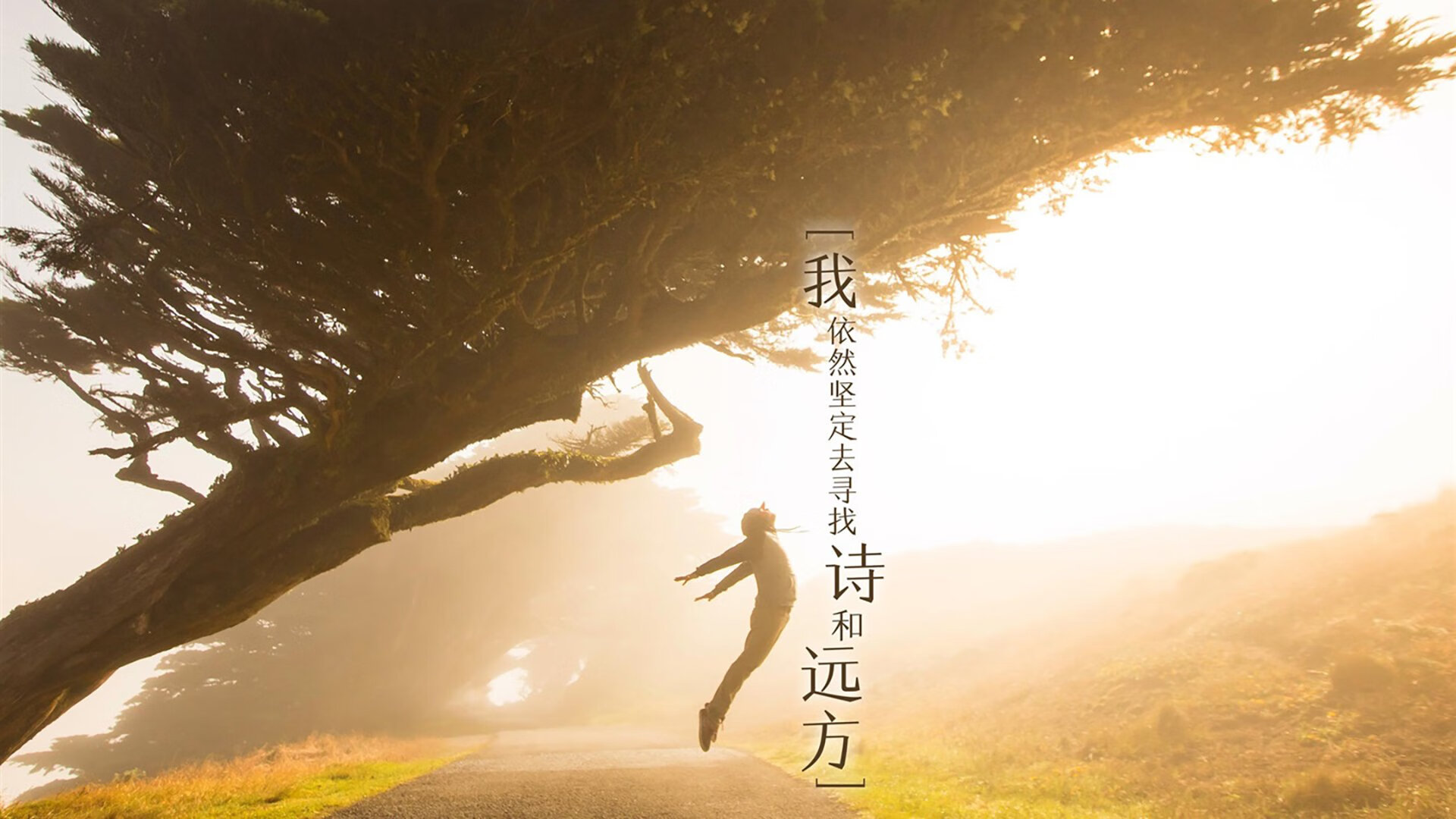 爱游戏官方-利物浦客场逆袭！连进两球，逆袭豪强，利物浦2021-2022赛季