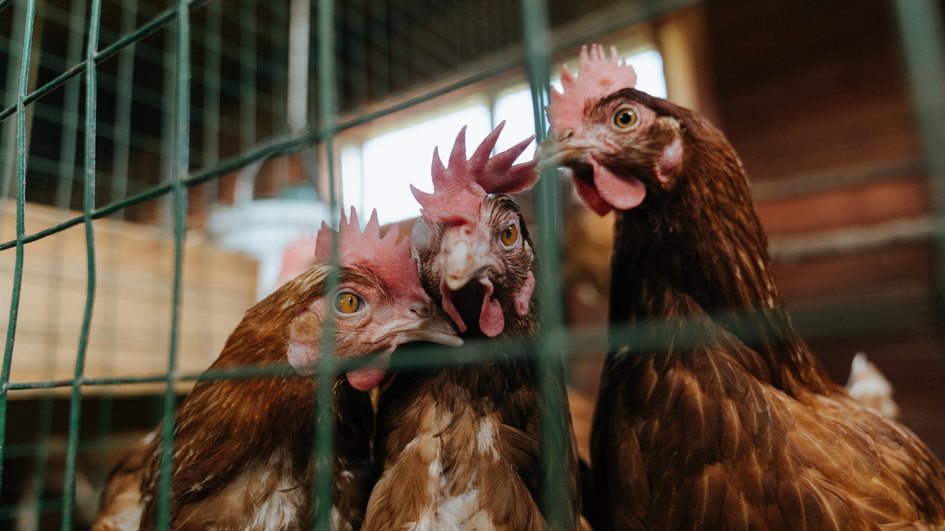 体育新闻中心主办体育内容标准化研究项目,体育新闻标题怎么写