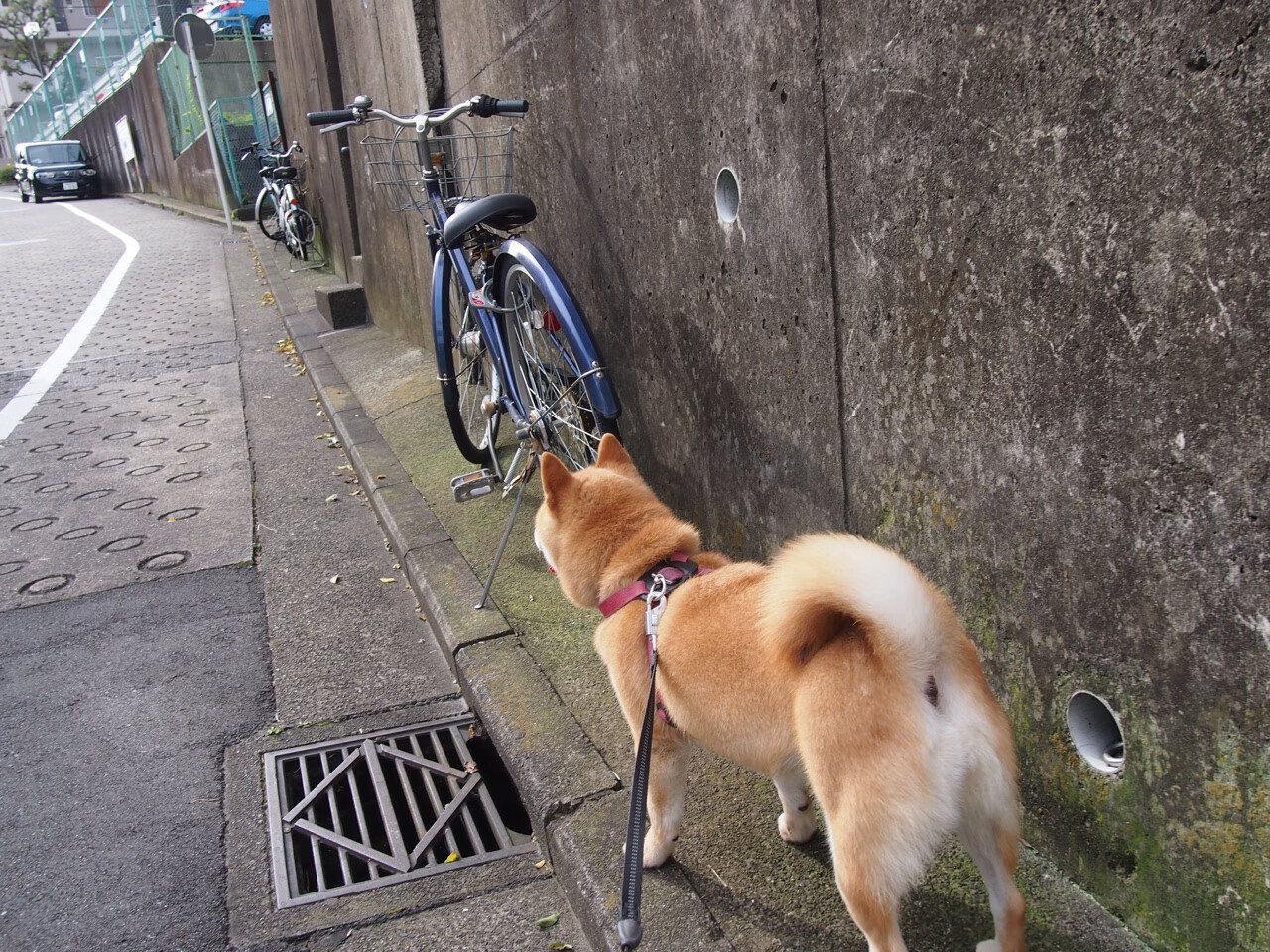 爱游戏平台-今日图集赛场瞬间定格体育之美，今日图说