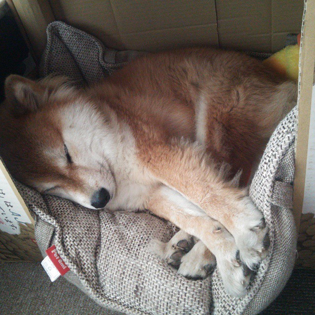 国家队进攻终结手段为何过于依赖突破，国家队进攻终结手段为何过于依赖突破手段